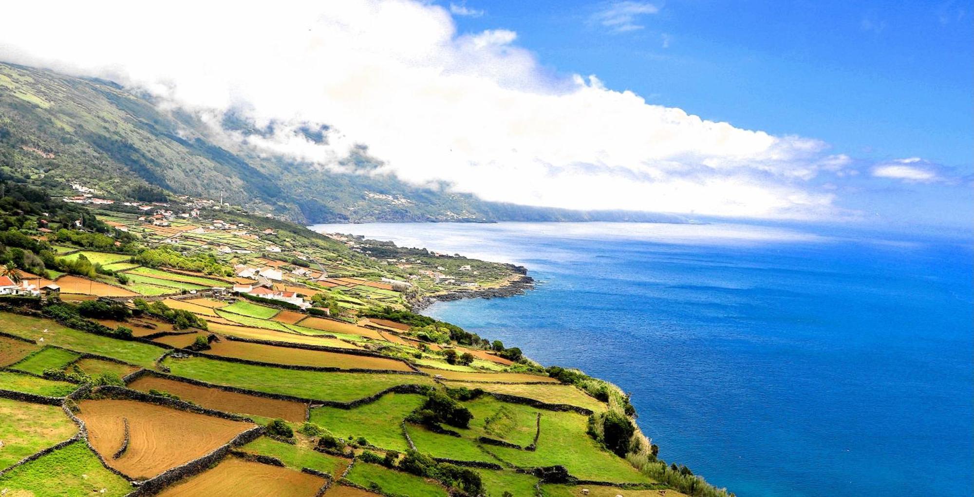Pico Boutique House Vakantiehuis *
